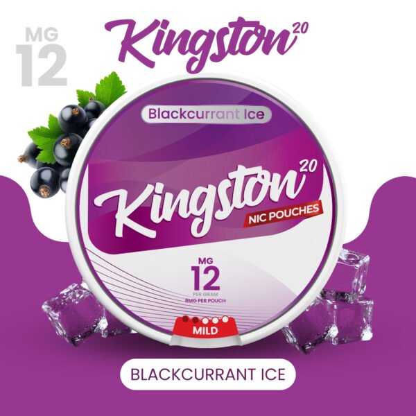 Blackcurrant Ice (20 Pouches) - Image 7