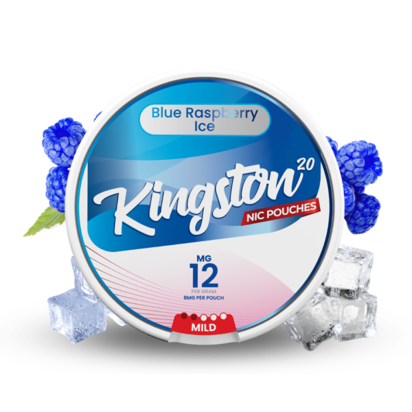 Blue Raspberry Ice (20 Pouches) - Image 4